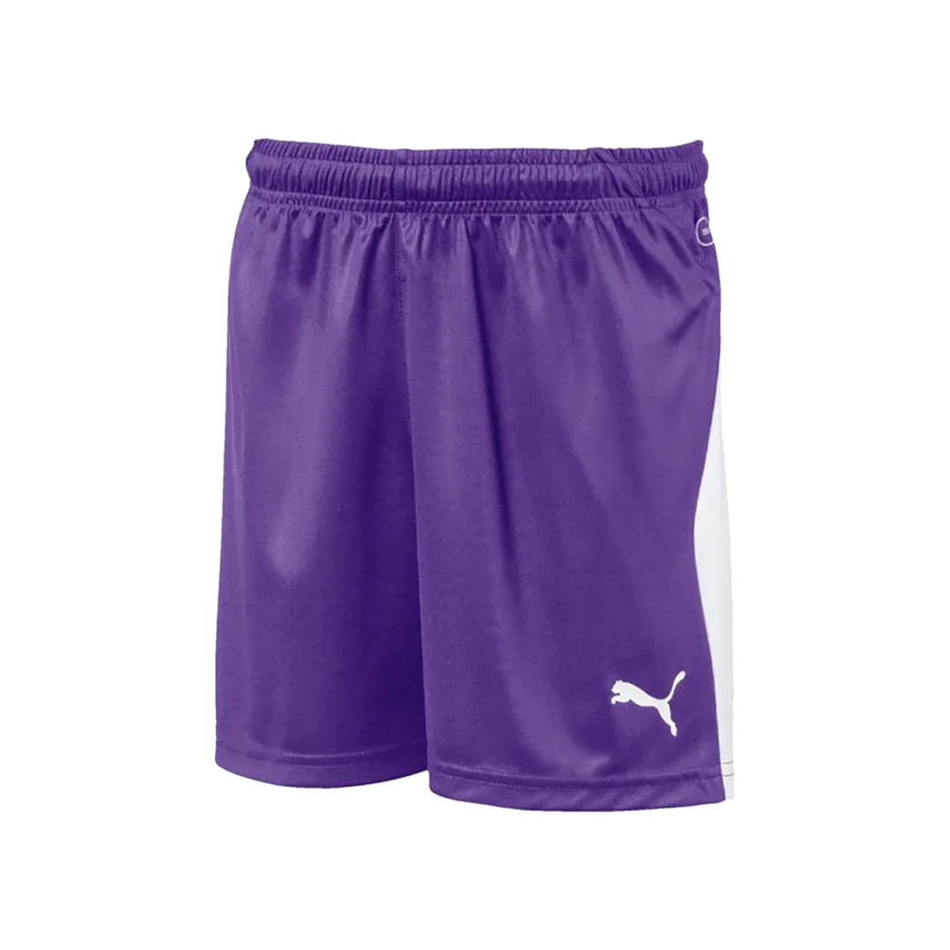 Liga GK Short Purple